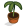 Plants & Agriculture