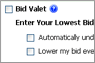 Bid Valet Snapshot