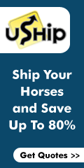 Horse Transport