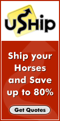 Horse Transport