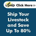 Livestock Transport