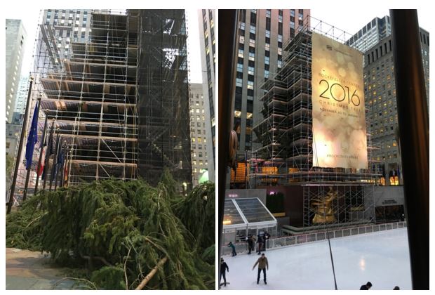 The Rockefeller Center Tree of 2016