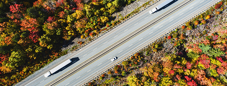 fall car shipping while leaves are changing