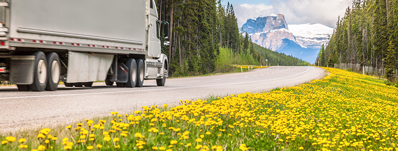 example of car shipping in the spring