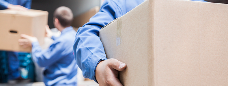 person holding moving boxes with fragile items