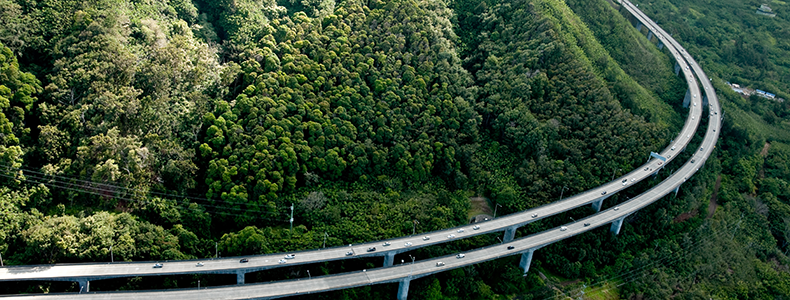 view of road in Hawaii 