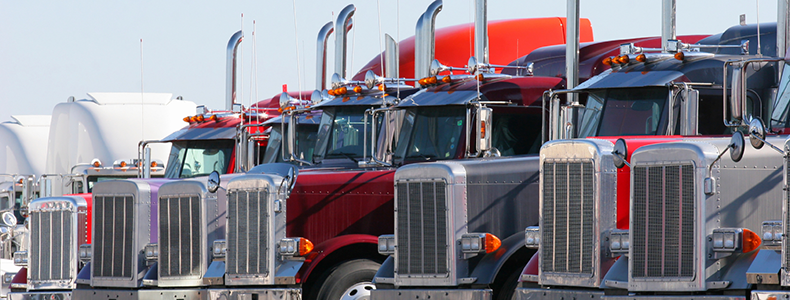 ltl trucks lined up 