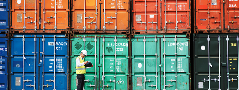 multiple shipping containers for household move