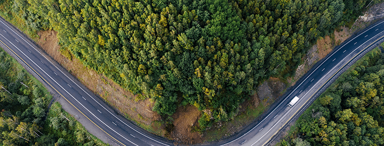 overhead view of road and forest - green logistics guide